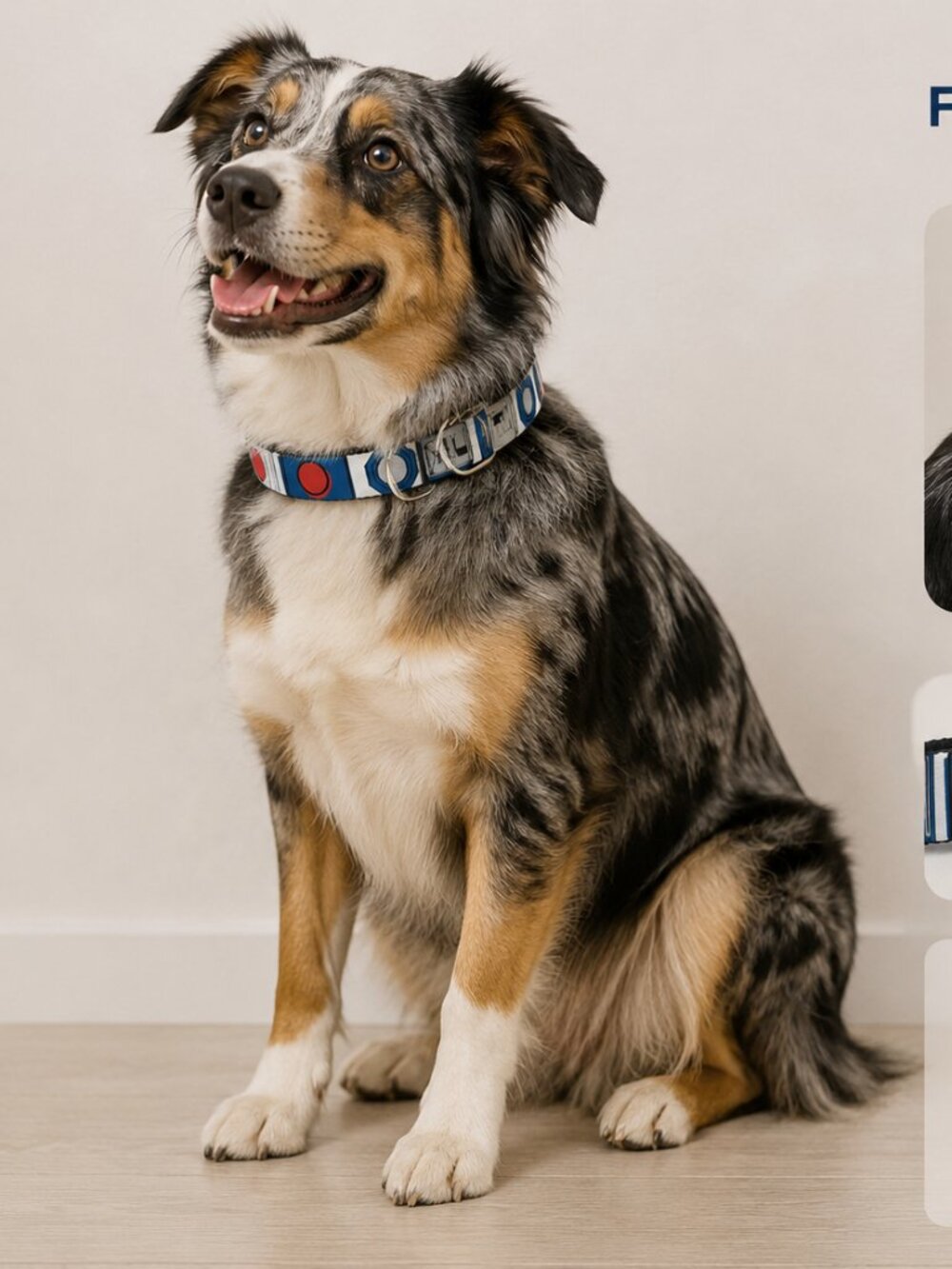 Star Wars R-2 D-2 Disney Dog Collar